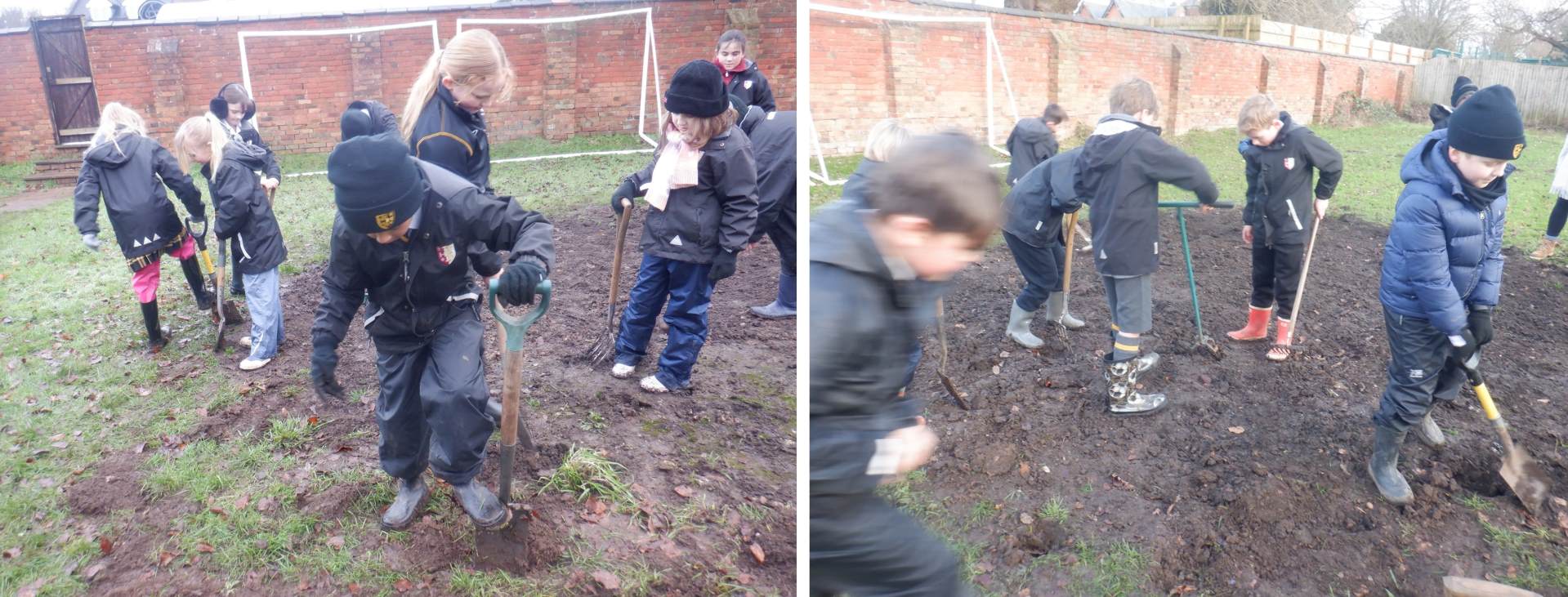 Digging over the wildflower garden Digging over the wildflower garden ready for spring